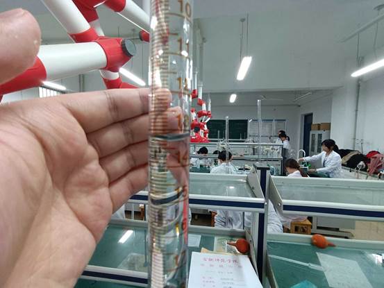 说明: https://wecres.campusphere.net/counselor/collector/1018615987520644/attachment/1957818b604f42ae86bb6ac4d9ec3611.png